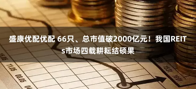 盛康优配优配 66只、总市值破2000亿元！我国REITs市场四载耕耘结硕果